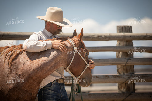 Training Colts 78238