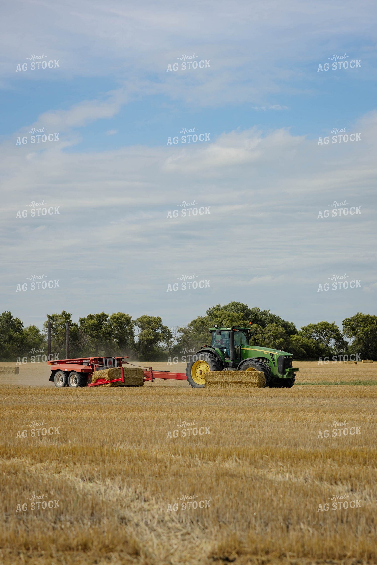 Loading Wheat Straw Bales 296062