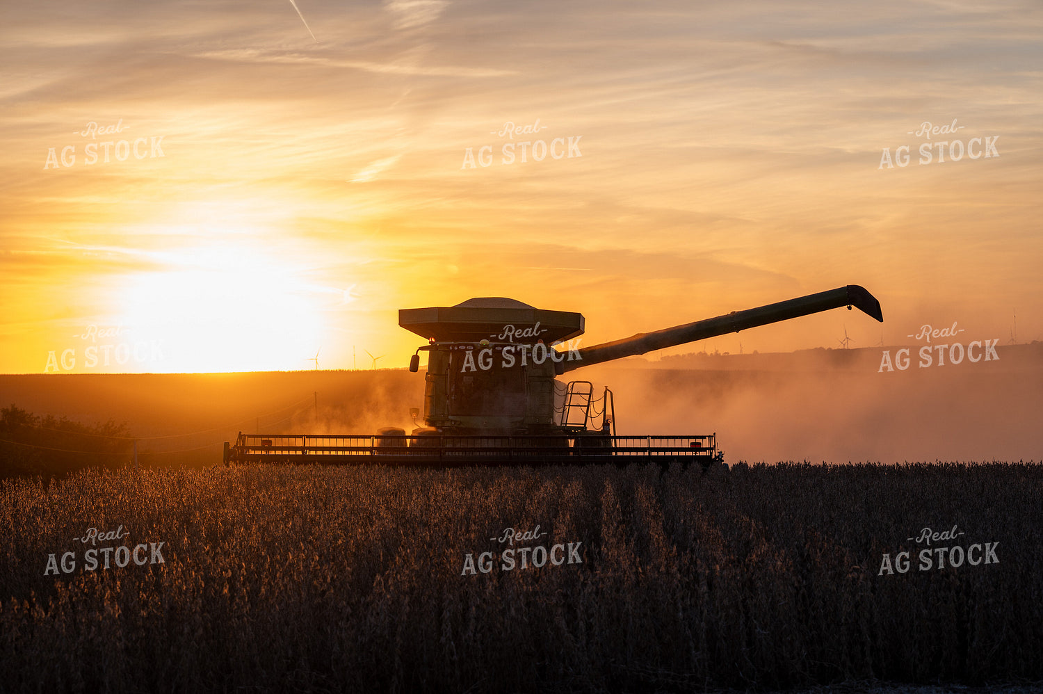 Harvesting 211006