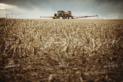 Self Propelled Sprayer Spraying in Corn Field 3661