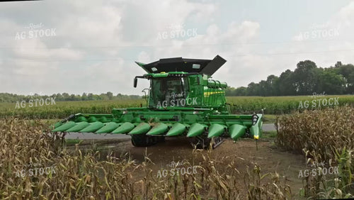 Corn Harvest 92051