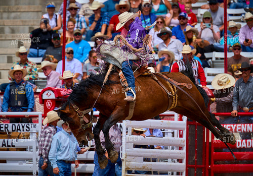 Saddle Bronc Riding 177021