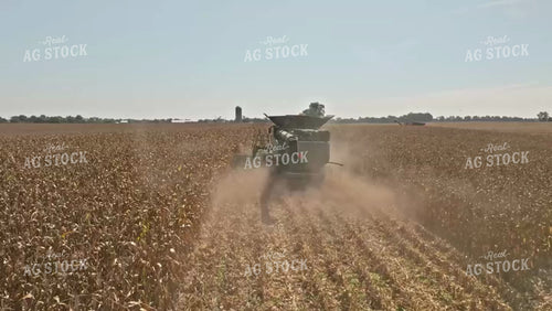 Corn Harvest 92078