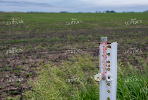 Rain Gauge by Field 302054