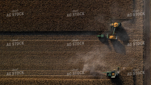 Corn Harvest 114022