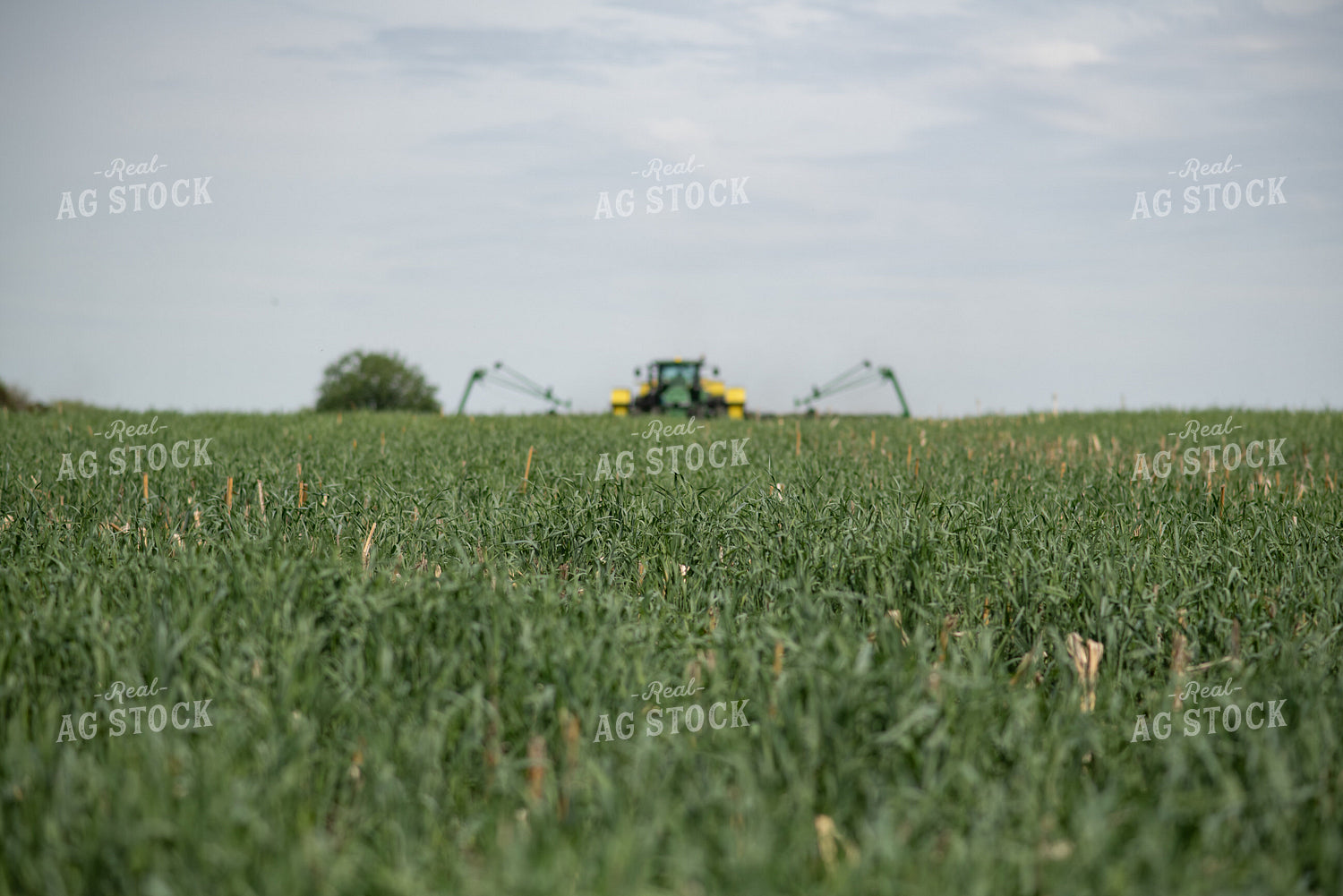 Planter in Field 76114