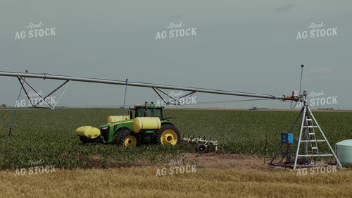 Ripping Corn 239313