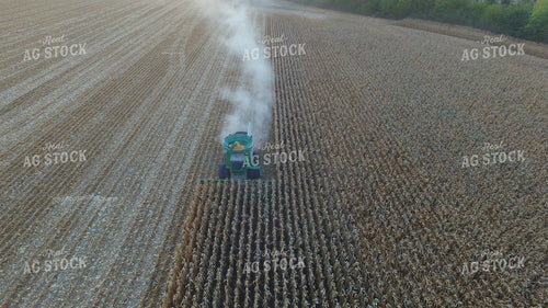 Corn Harvest 85045