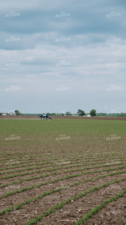 Self-Propelled Sprayer Applying Crop Protection to Early-Growth Field 401012