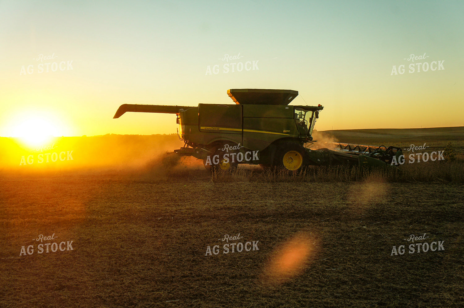Soybean Harvest 156052