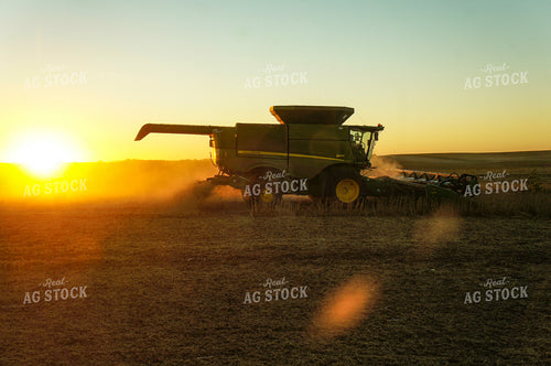 Soybean Harvest 156052