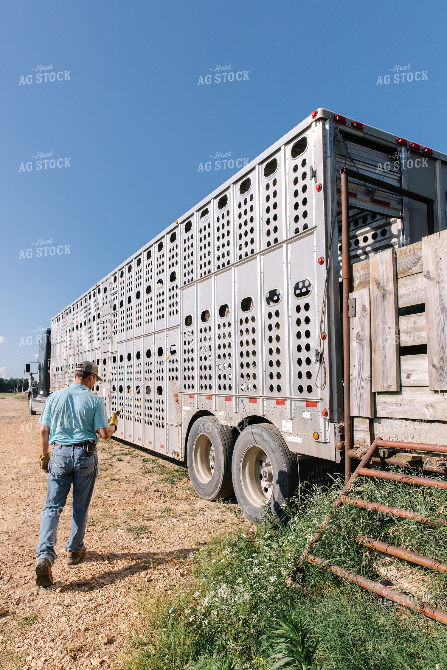 Rancher by Livestock Trailer 278011
