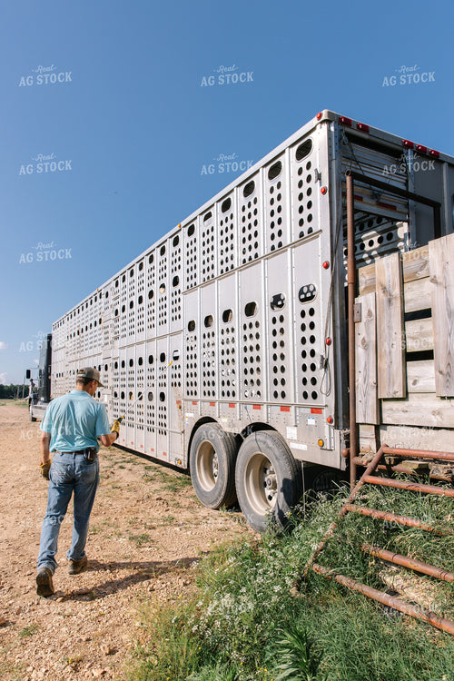 Rancher by Livestock Trailer 278011