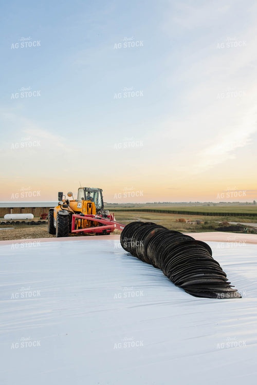 Storing Corn Silage 152564