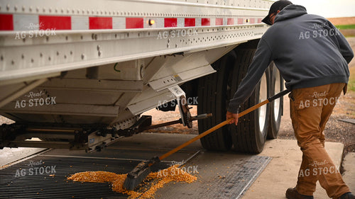 Farmer Sweeping Corn into On-farm Storage Grain Pit 25661