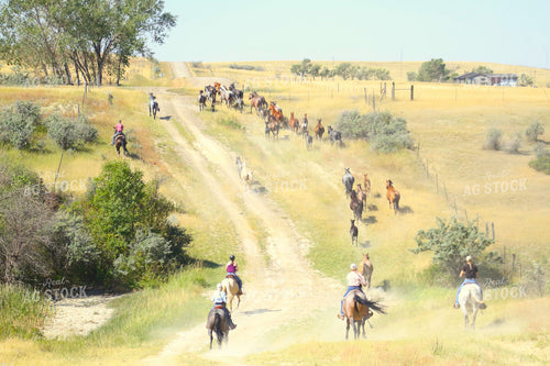 Moving Horses 183017
