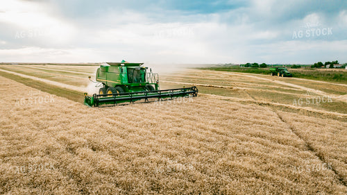 Wheat Harvest 56696
