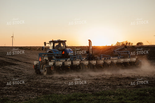 Planting 67712