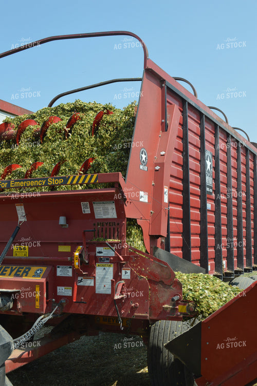 Bagging Silage 206064