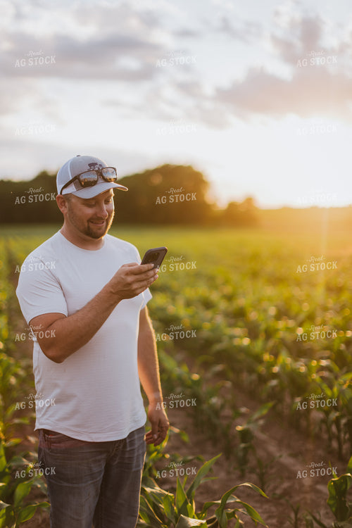 Farmer Looking at Phone in Cornfield 8823