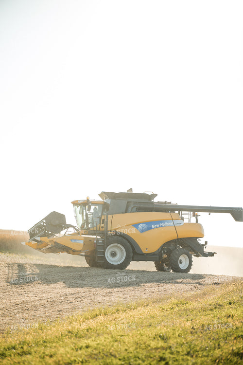 Soybean Harvest 215073