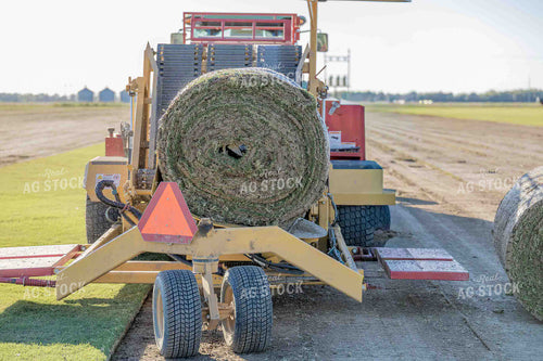 Sod Harvest 291028