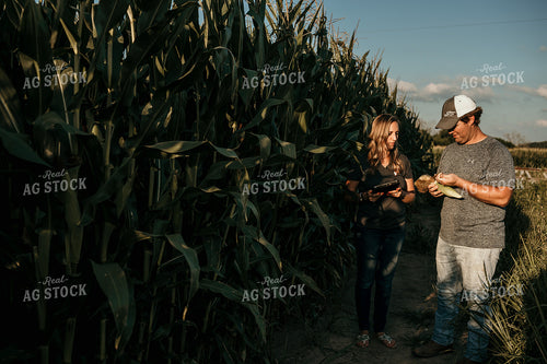 Farmer and Agronomist Corn Yield Estimate 3162
