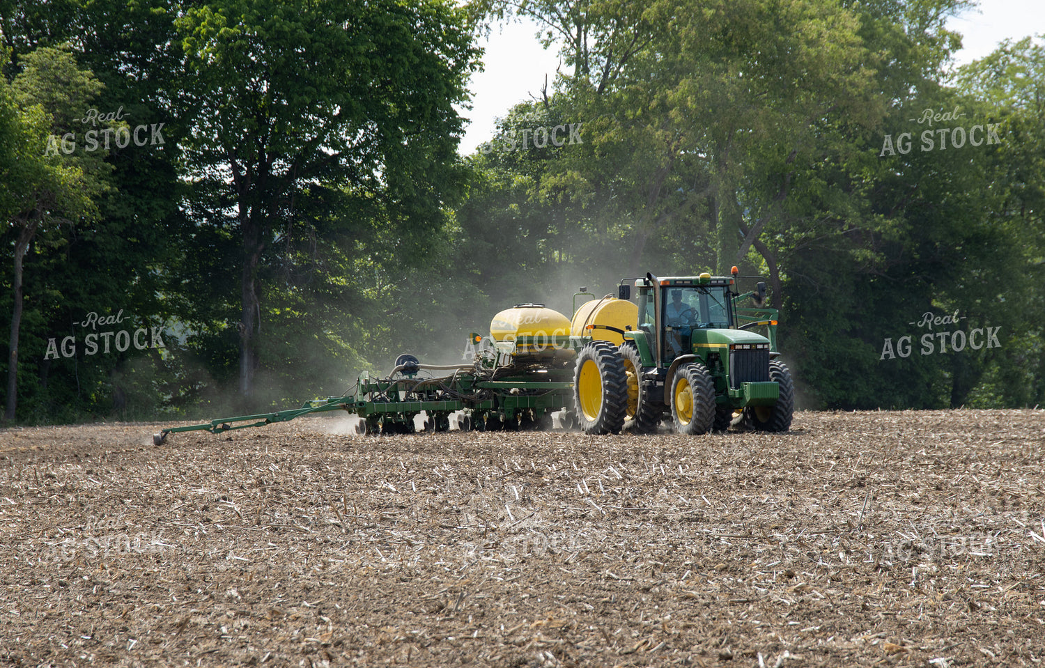 Planting on Sunny Day 52113