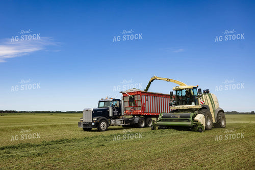 Harvesting Hay Silage 152446