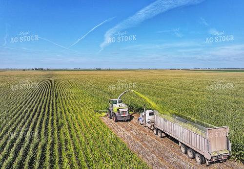 Aerial of Corn Silage Harvest 141396