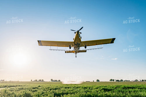 Crop Duster 218018