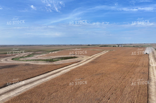 Soybean Harvest 141464