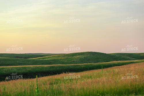 Hilly Pasture 123013