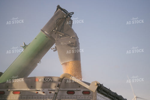Nebraska Corn Harvest 70019
