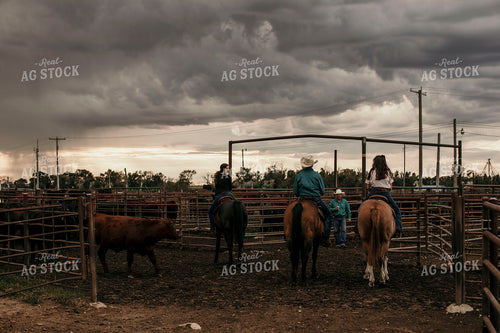 Feedyard 3089