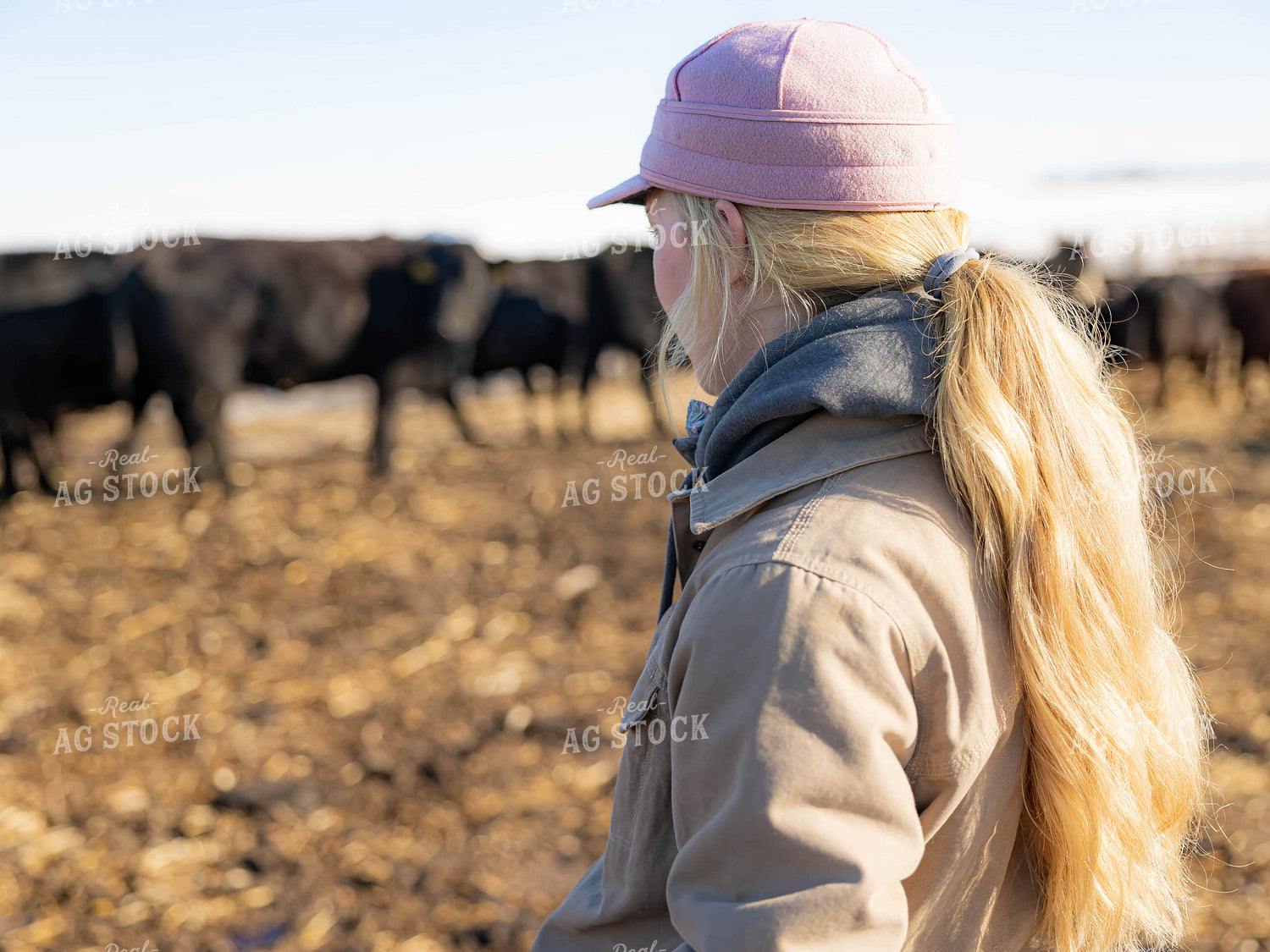 Rancher in Cattle Fence 70224