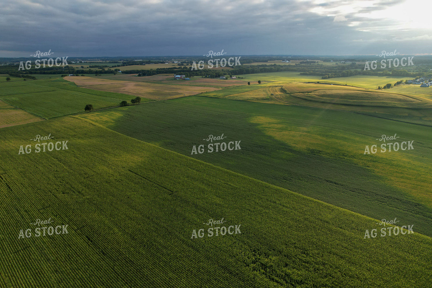 Aerial of Farmland in Summer 261079