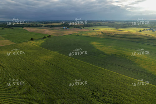 Aerial of Farmland in Summer 261079