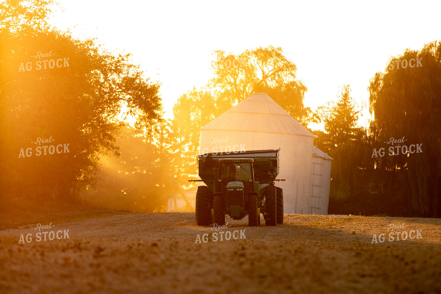 Tractor and Wagon by Bins 157221