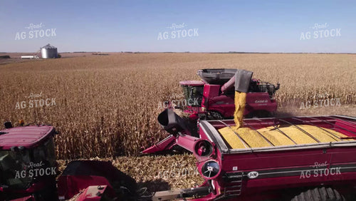 Corn Harvest 114087