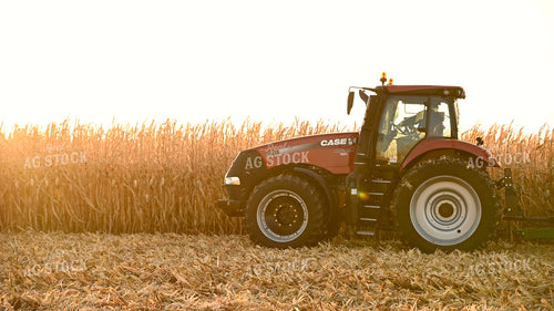 Tractor Driving through Field at Sunset 25781