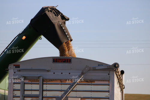 Unloading into Semi 82095