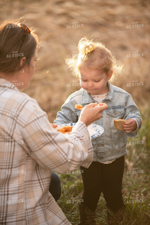 Field Meal 76563