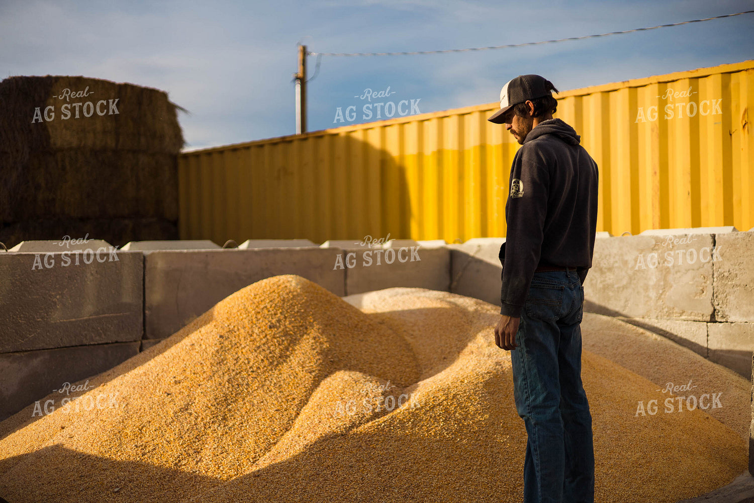 Livestock Feed Ingredients 97246
