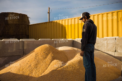 Livestock Feed Ingredients 97246