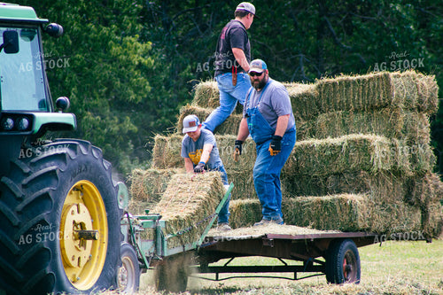 Harvesting Hay 214079