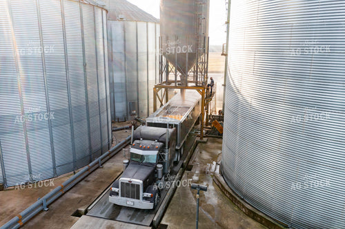 Filling Up Semi with Grain 79182