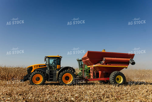 Corn Harvest 152640