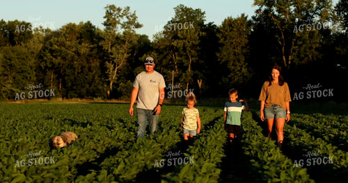 Farm Family Walking Through Soybean Field 6497