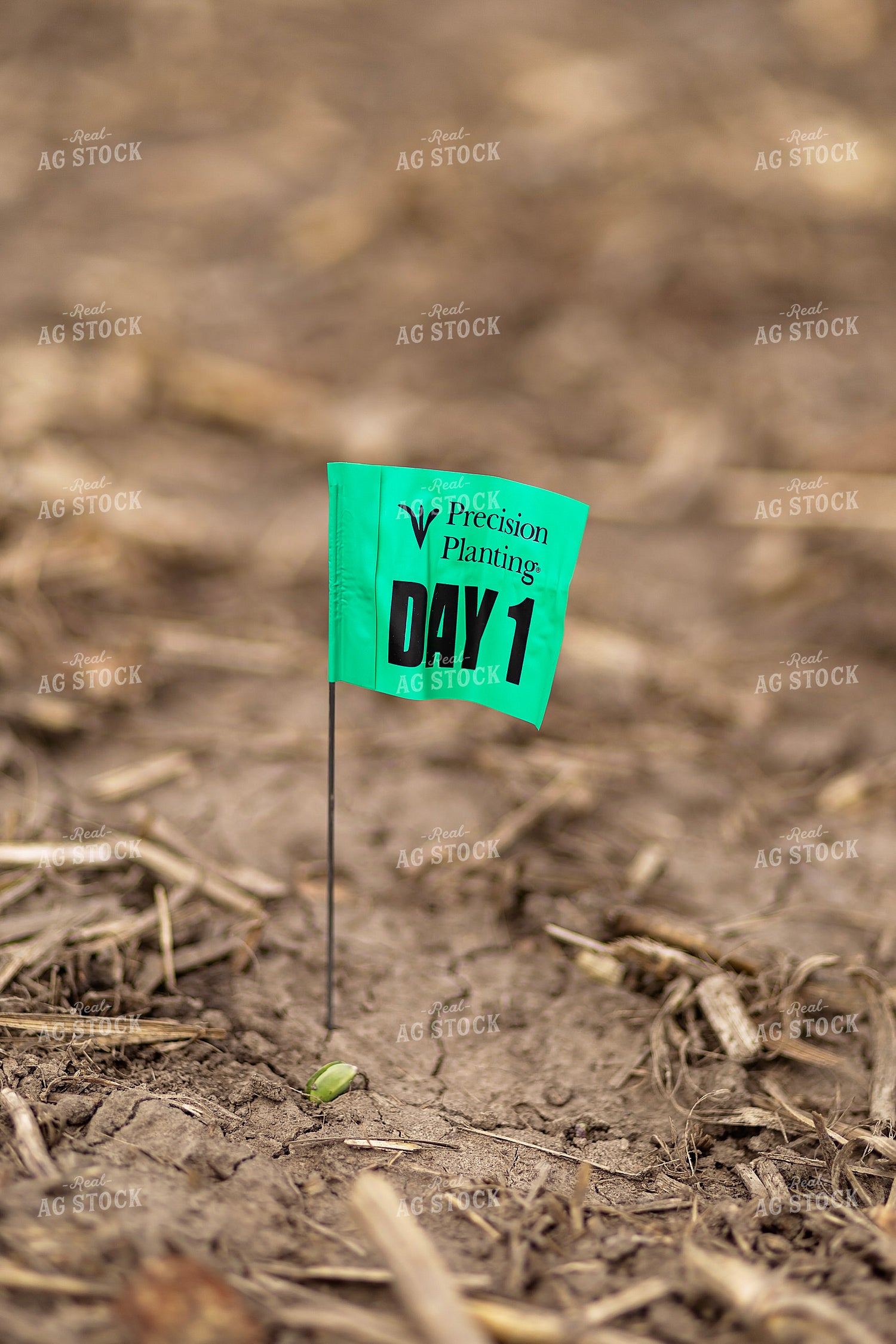 Precision Planting Emergence Flags 93316